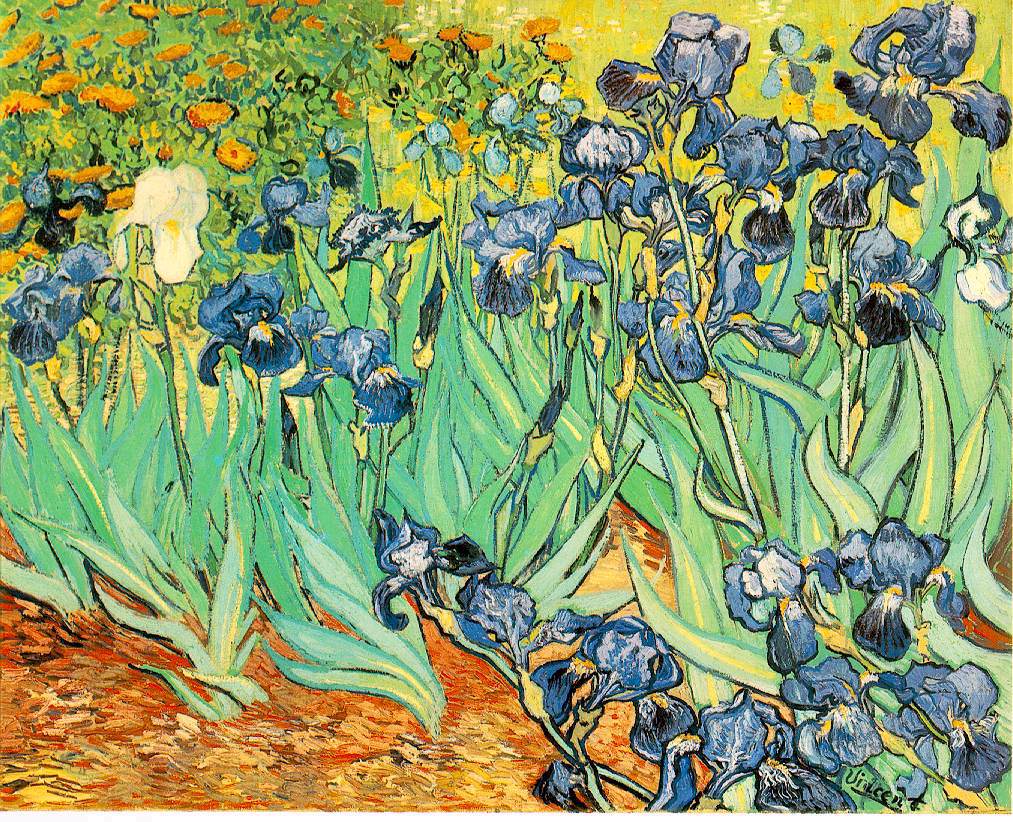 irissen van gogh 